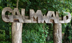 Galmwaldgottesdienst