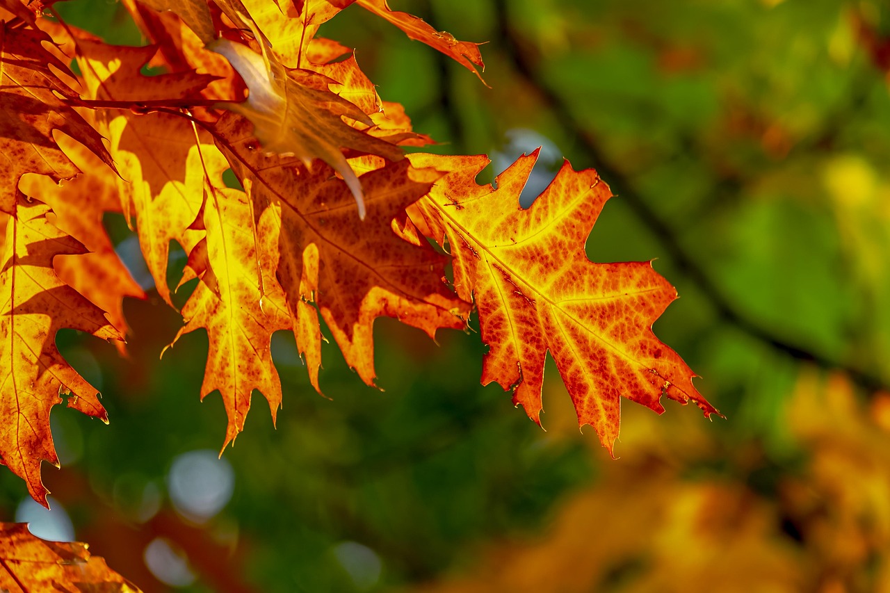 Einfach sein – Herbstwochenende im Simplon Hospiz